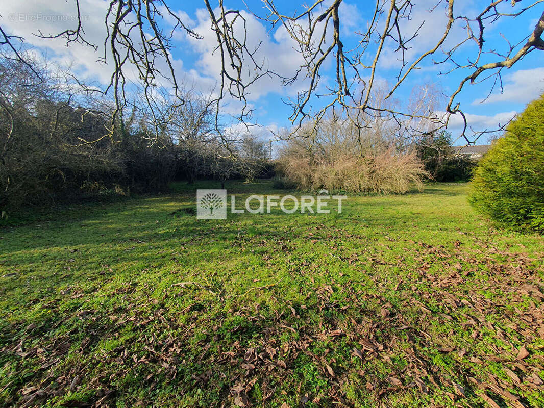Maison à DOUE-LA-FONTAINE