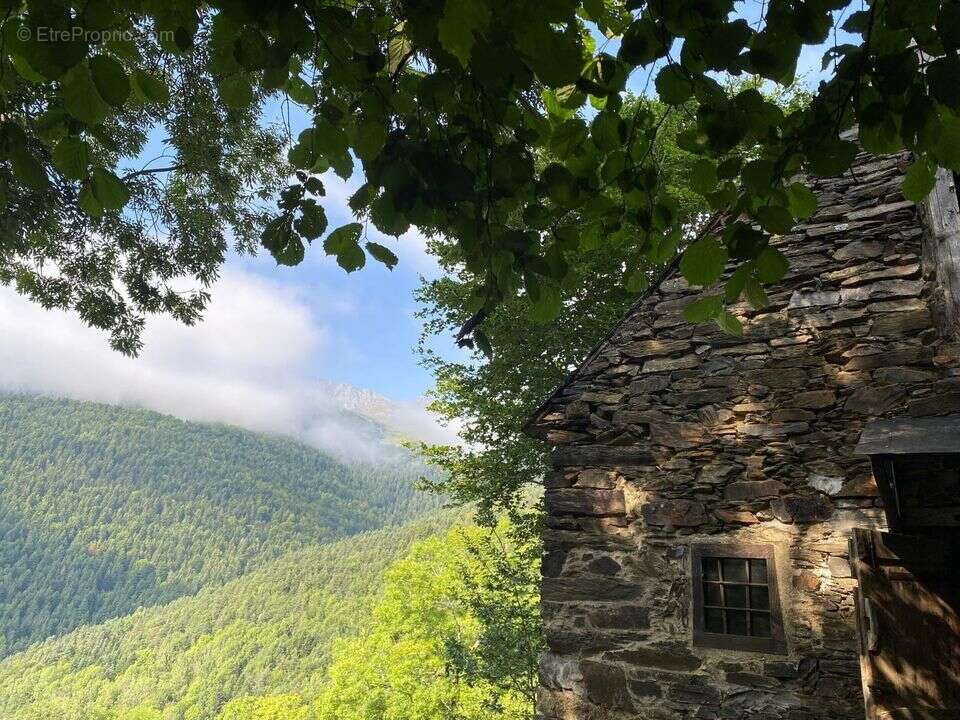 Grange aménagée vue sur l' Arbizon - photo 17