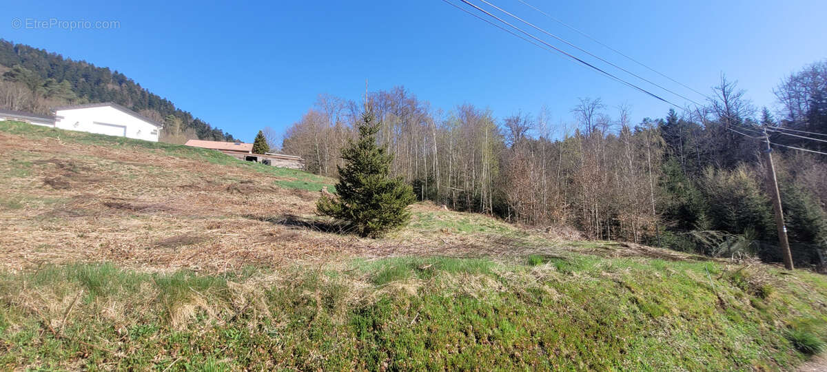 Terrain à MOYENMOUTIER