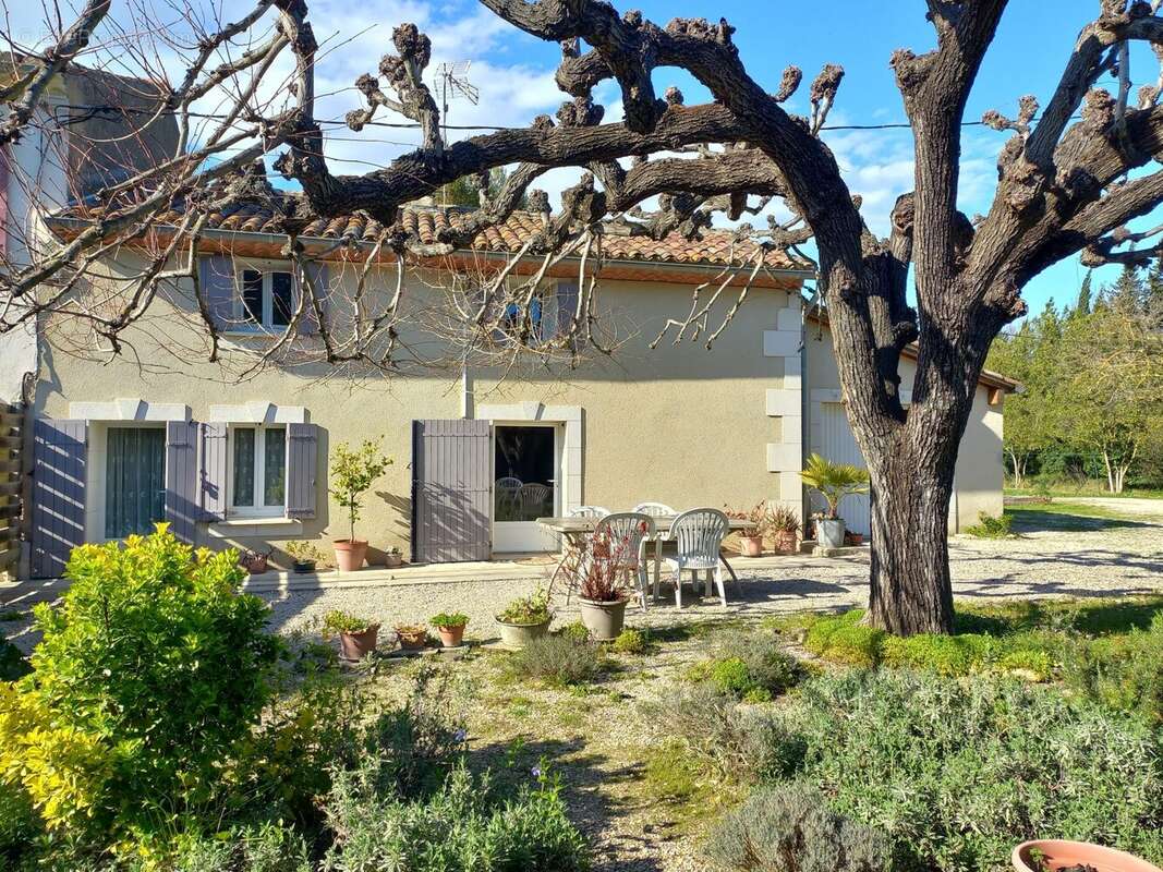 FACADE SUD PROCHE - Maison à SENAS