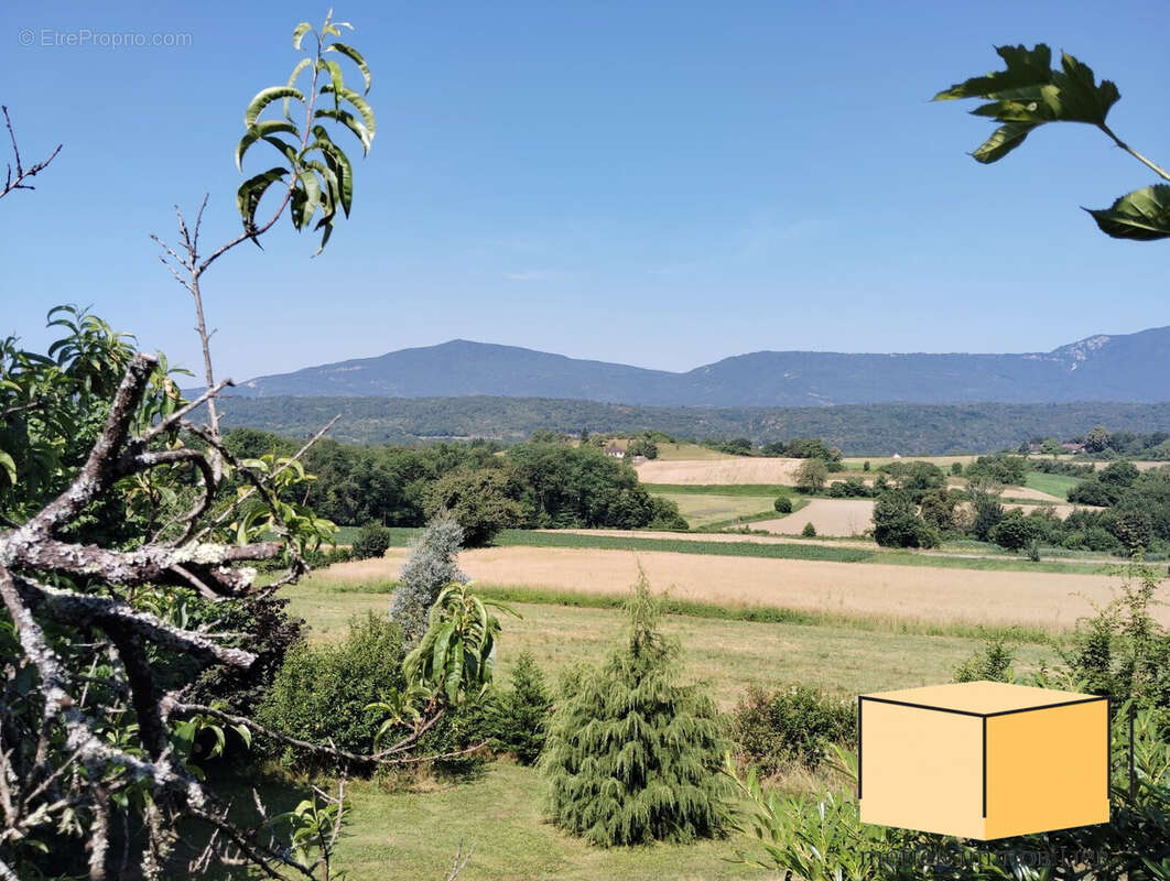 Terrain à BELLEY
