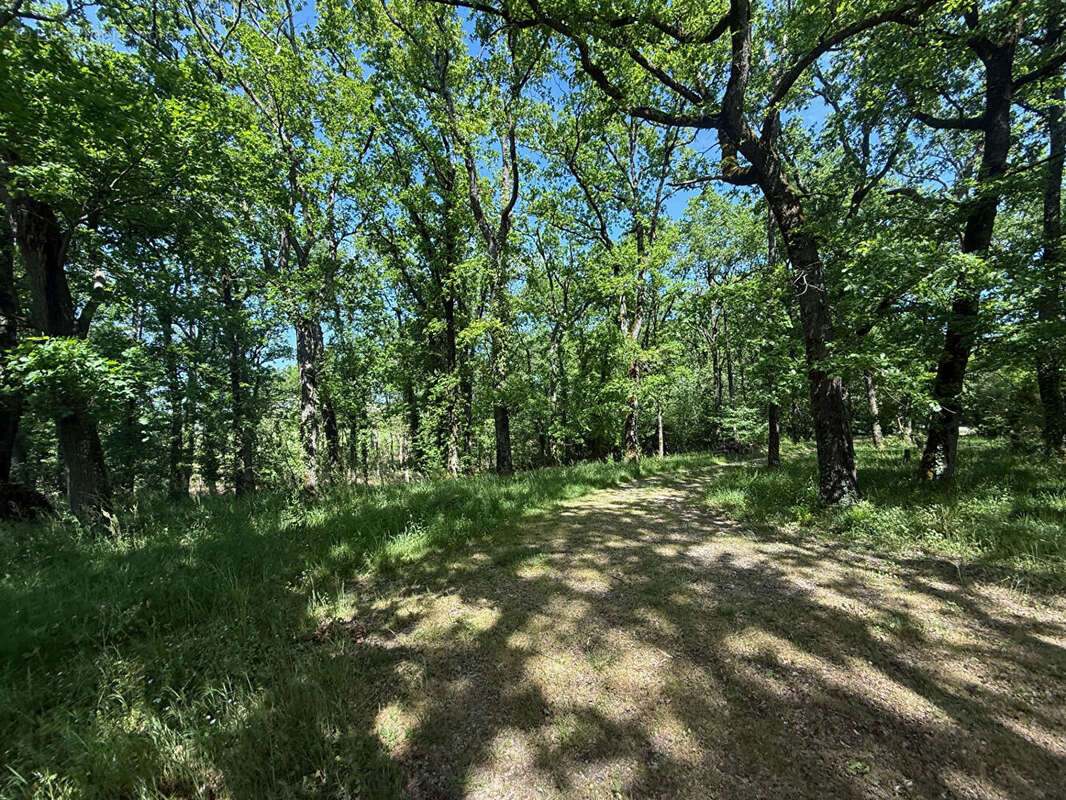 En pleine campagne, au calme, venez découvrir cette belle propriété de 250 m² habitables avec vue, sur un terrain de plus d'un h - photo 12