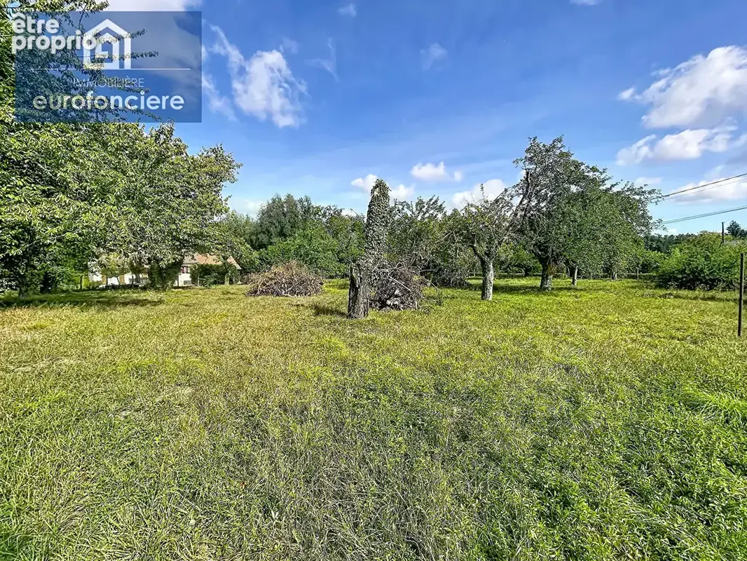 VERGERS St Pouange 1500 m2 - photo 2