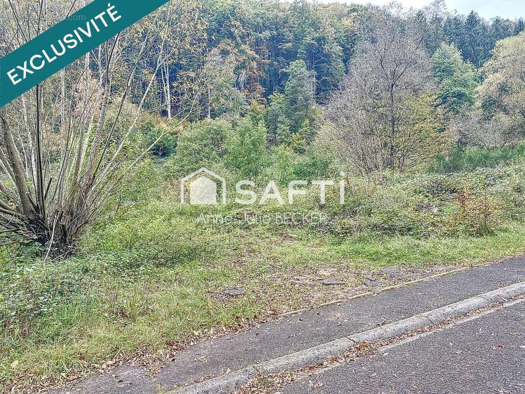 Photo 2 - Terrain à LAMBACH