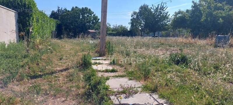Maison à vendre 4 pièces PETOSSE (85) - photo 17
