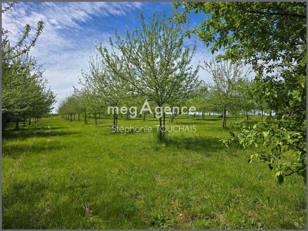 Propriété d’exception au cœur de la nature sur 3 ha – Saint-Mars-sur-la-Futaie - photo 6