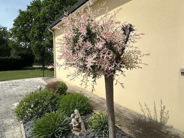 Maison à RETIERS