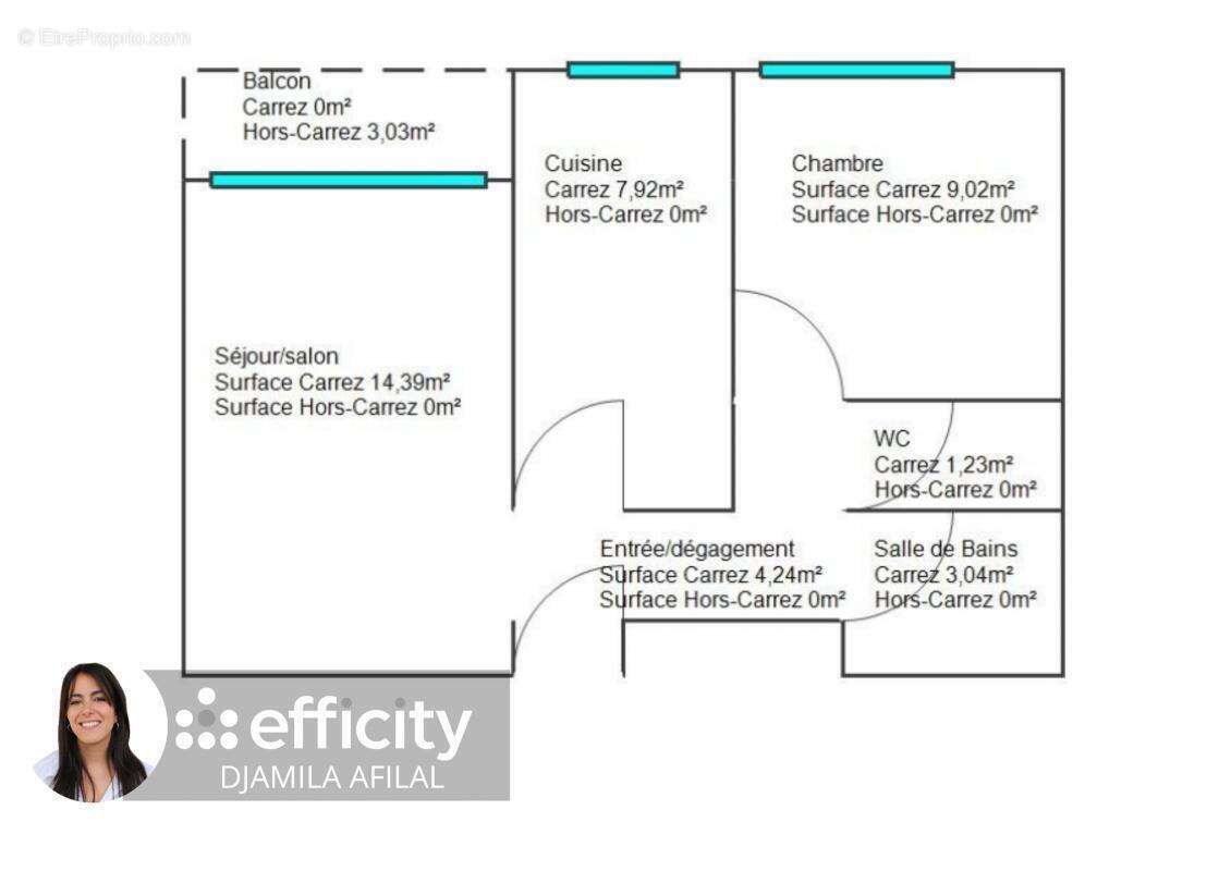 Appartement à LA ROCHE-SUR-FORON