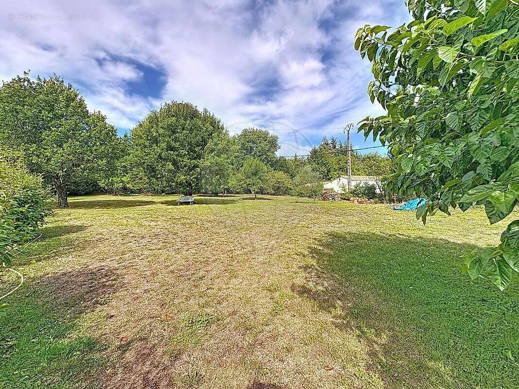 Maison à SAINT-FELIX-DE-PALLIERES