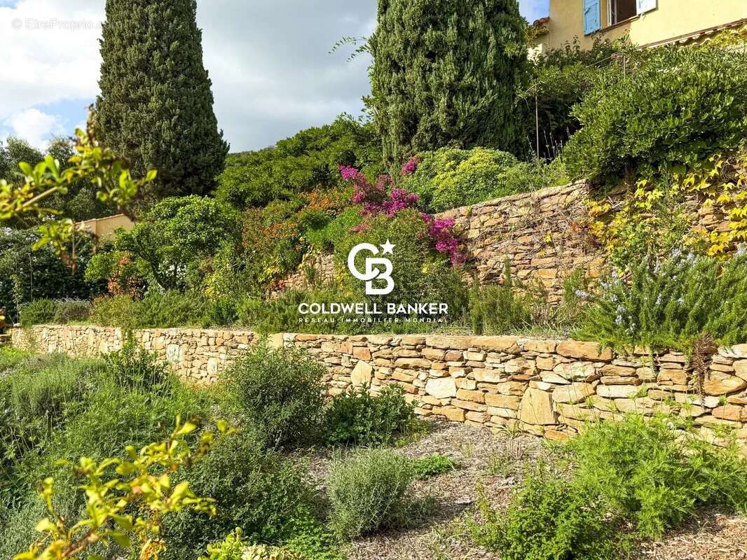 Maison à LE LAVANDOU