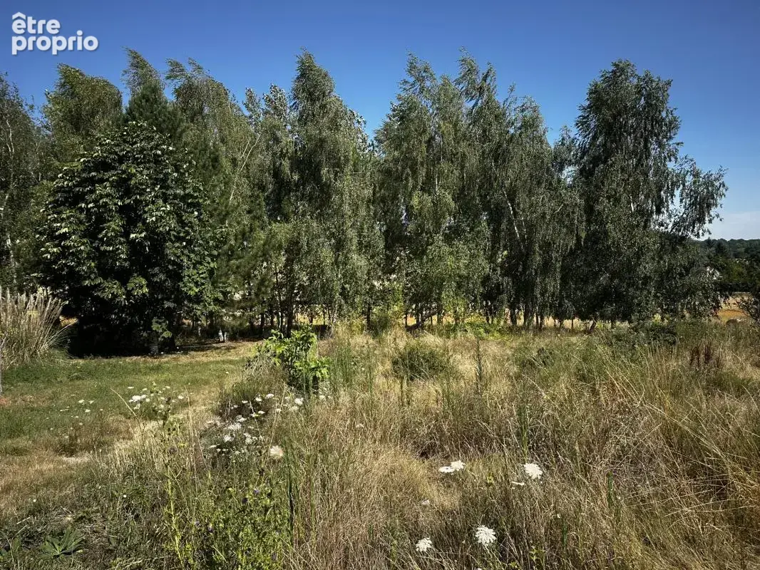 Grande propriété à 20' Ouest de Vendôme - photo 16