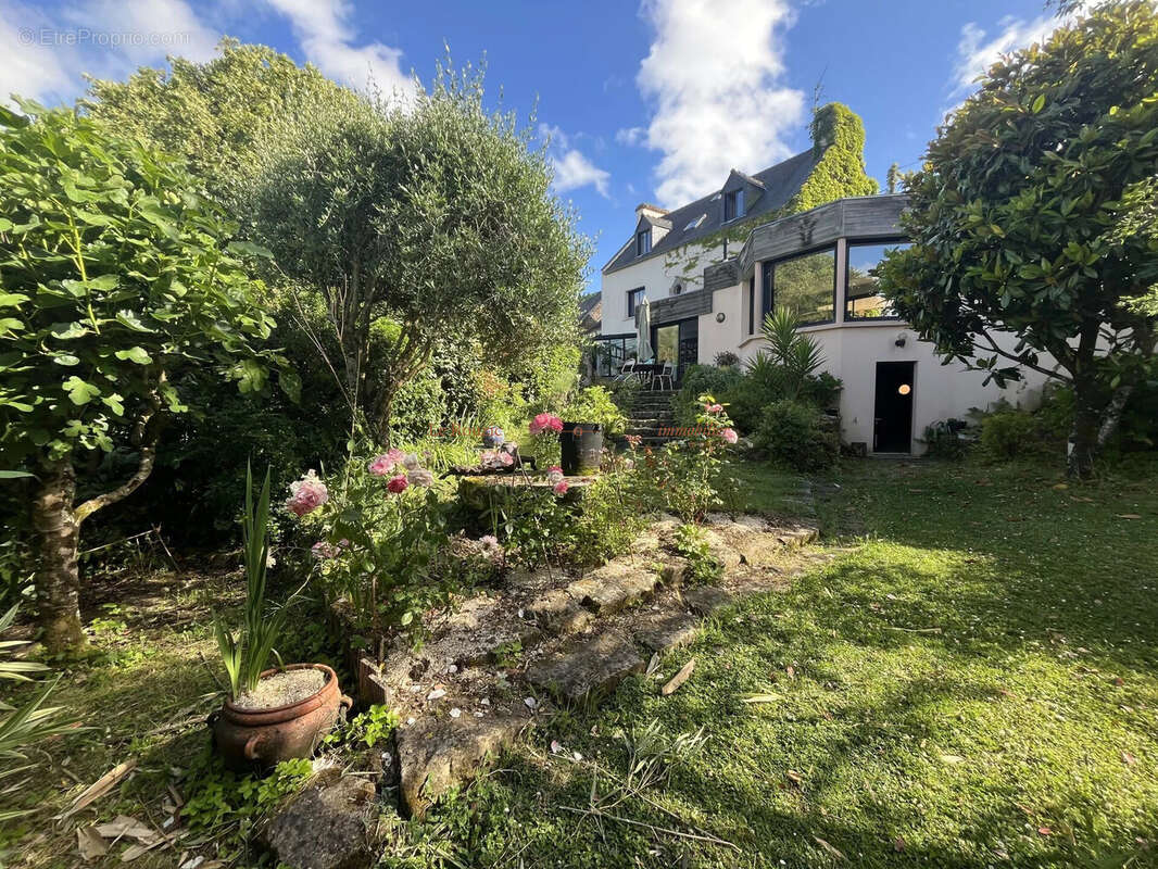 Maison à SENE