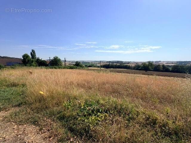 Terrain à MONTIGNY-AUX-AMOGNES