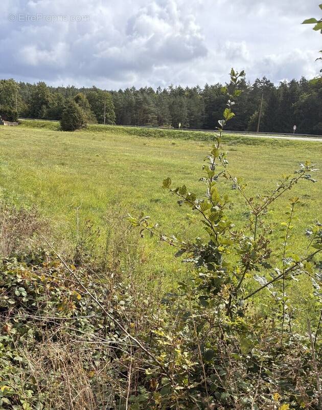 Terrain à REYERSVILLER