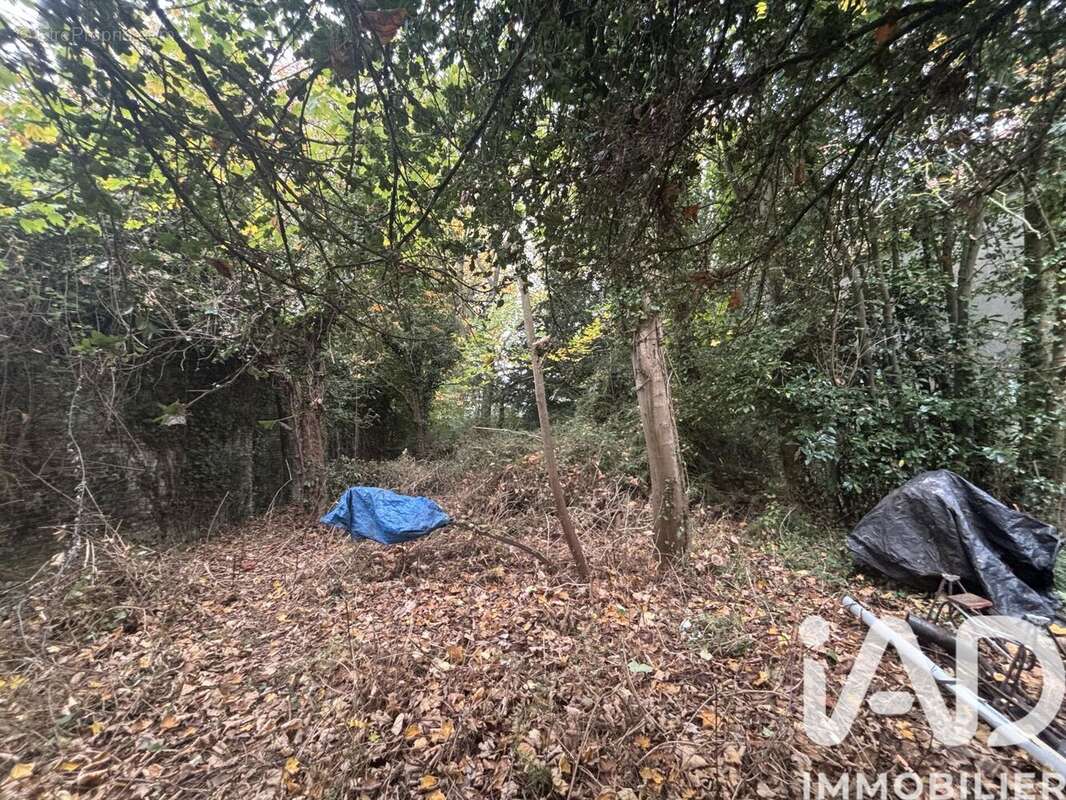 Photo 3 - Maison à ARQUES