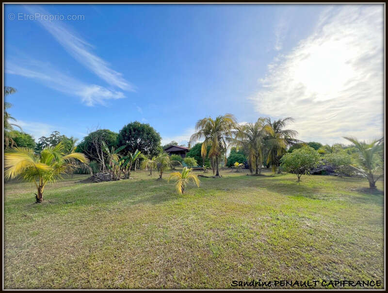 A vendre a kourou (97310 guyane française) une magnifique maison de campagne t4 de 103 m² sur un terrain de 5000 m² - au prix de - photo 8