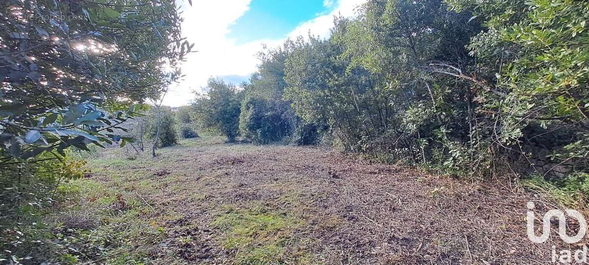 Photo 7 - Terrain à LODEVE