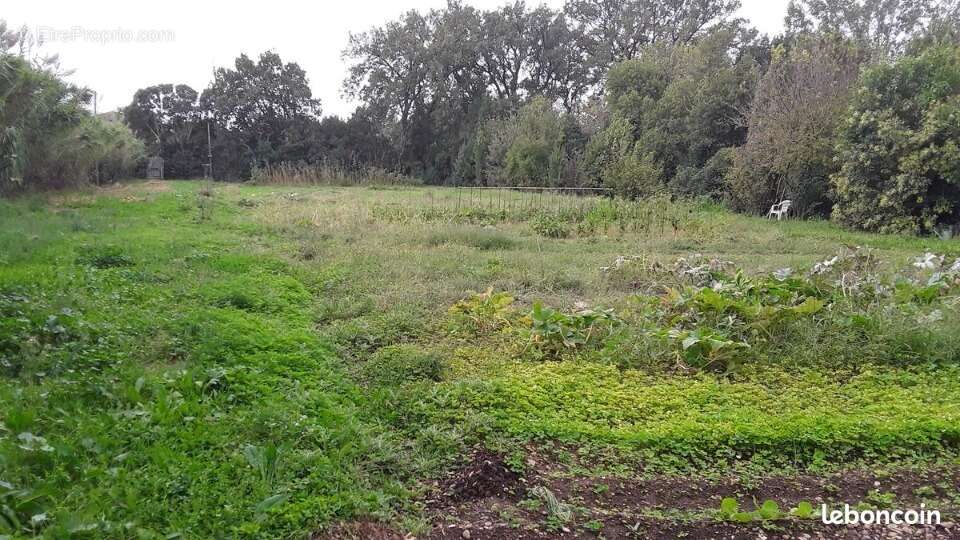Terrain à ISTRES