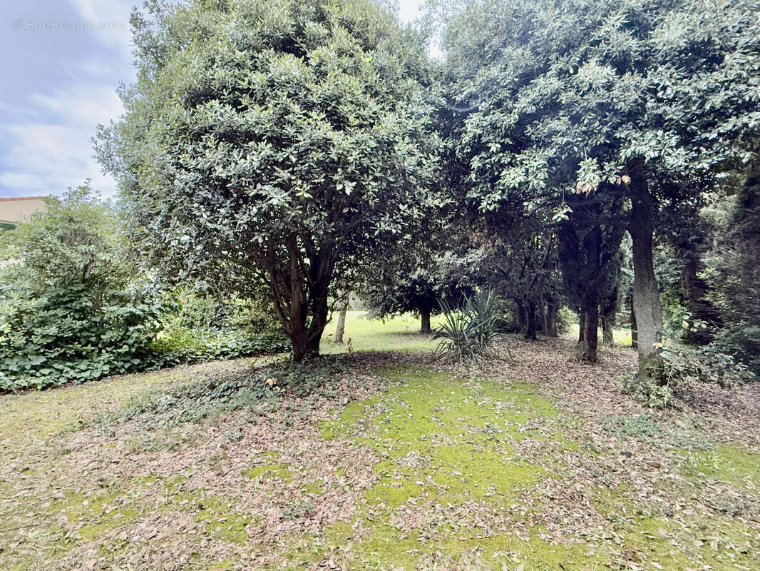 Maison à BAGNOLS-SUR-CEZE