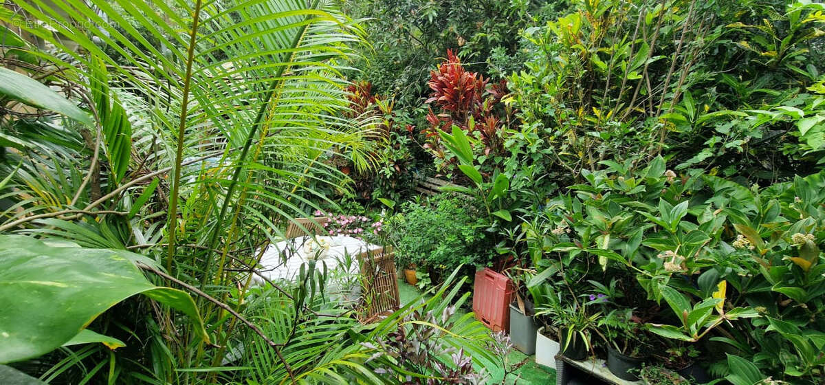 Maison à PETITE-ILE