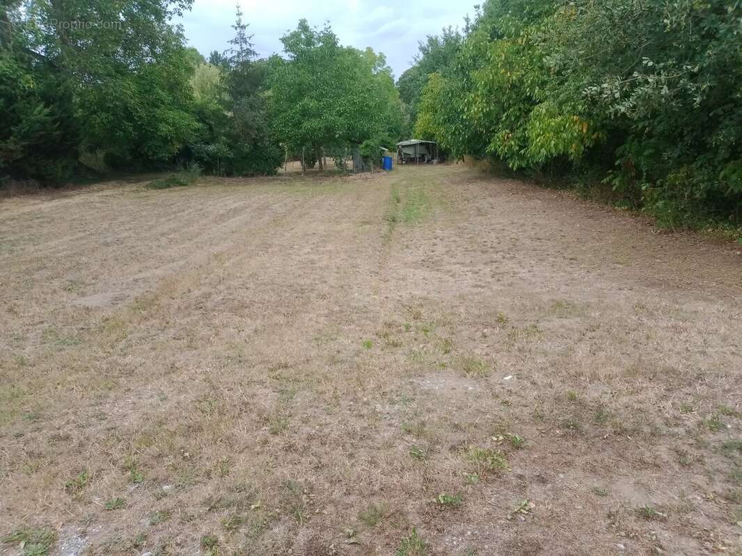 Laon sud ref 3581 mfd - photo 2
