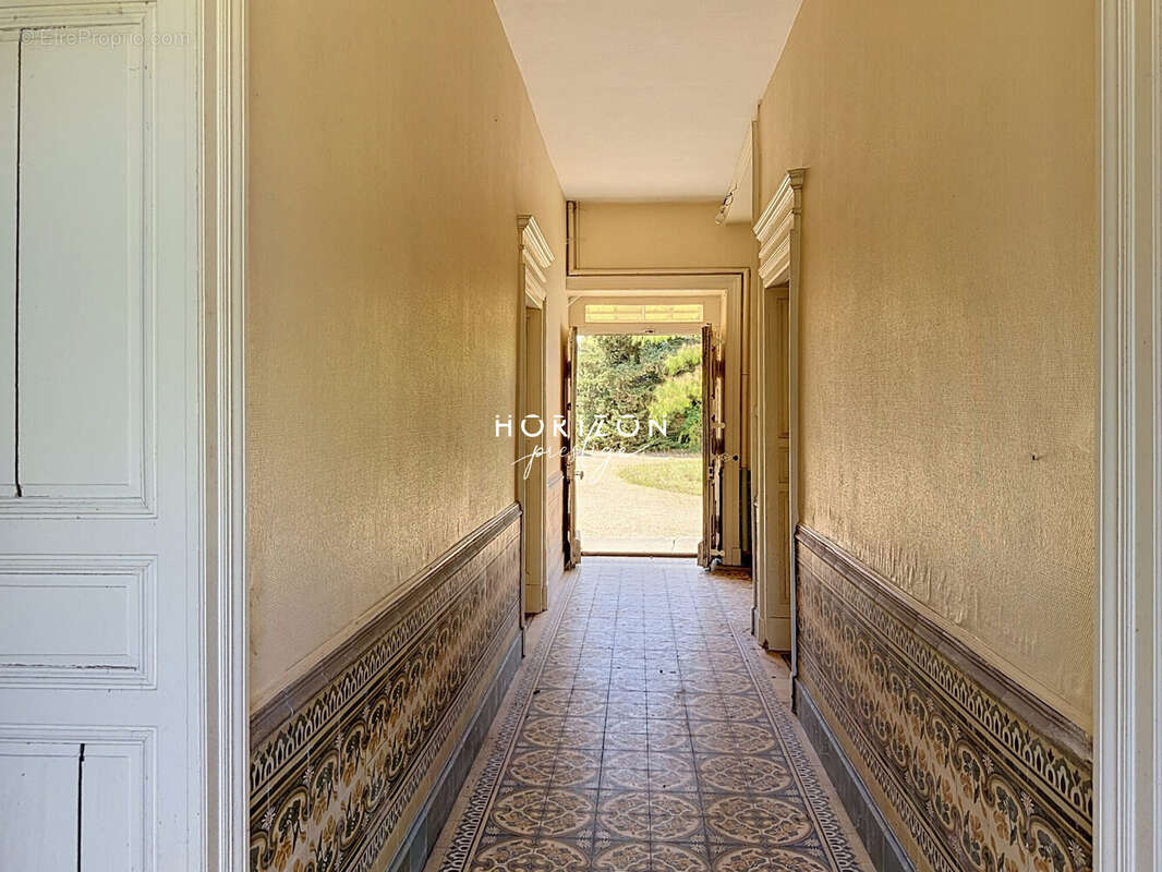 Maison 475 m² à Tournus  - photo 4