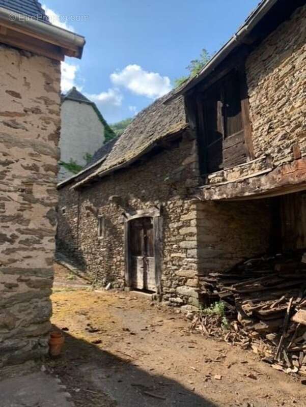 Maison à VIEILLEVIE