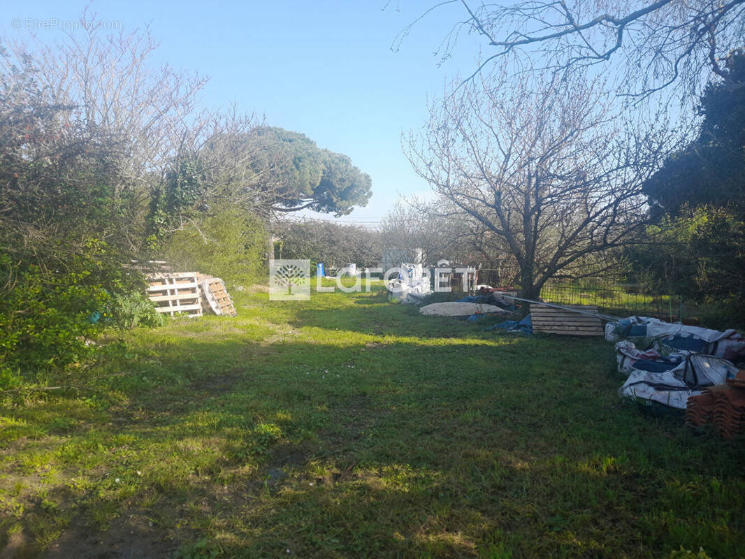 Terrain à SAINT-GEORGES-D&#039;OLERON