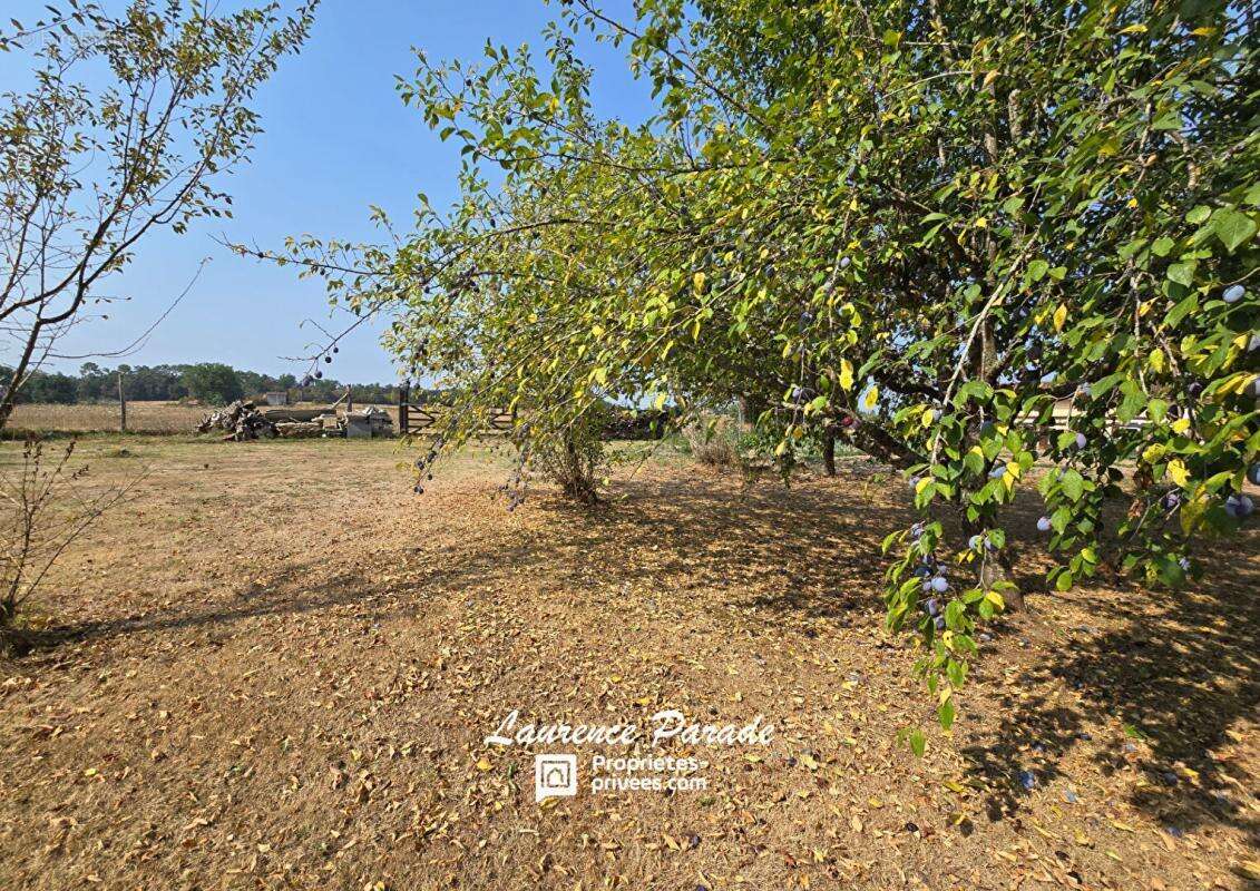 Maison à SAINT-MICHEL-DE-DOUBLE