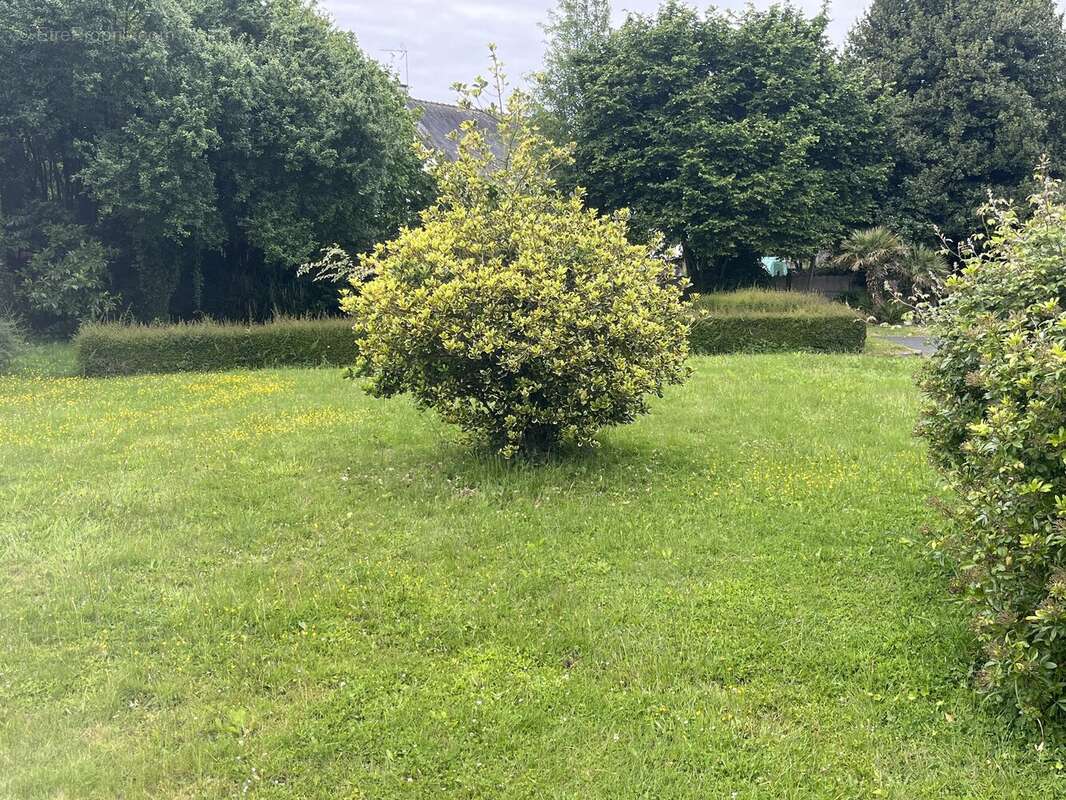 Terrain à LA VICOMTE-SUR-RANCE