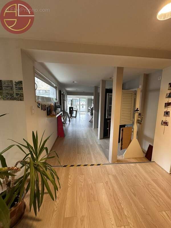 Commerce à TOULOUSE