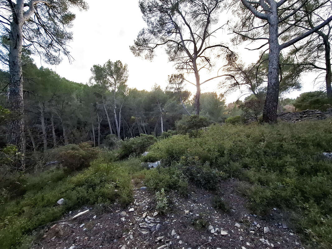 Rare propriété 7000 m2 de terrain tranquillité absolue, villa T4/5 de 157 m2 au calme proche des commodité à 5 - photo 7