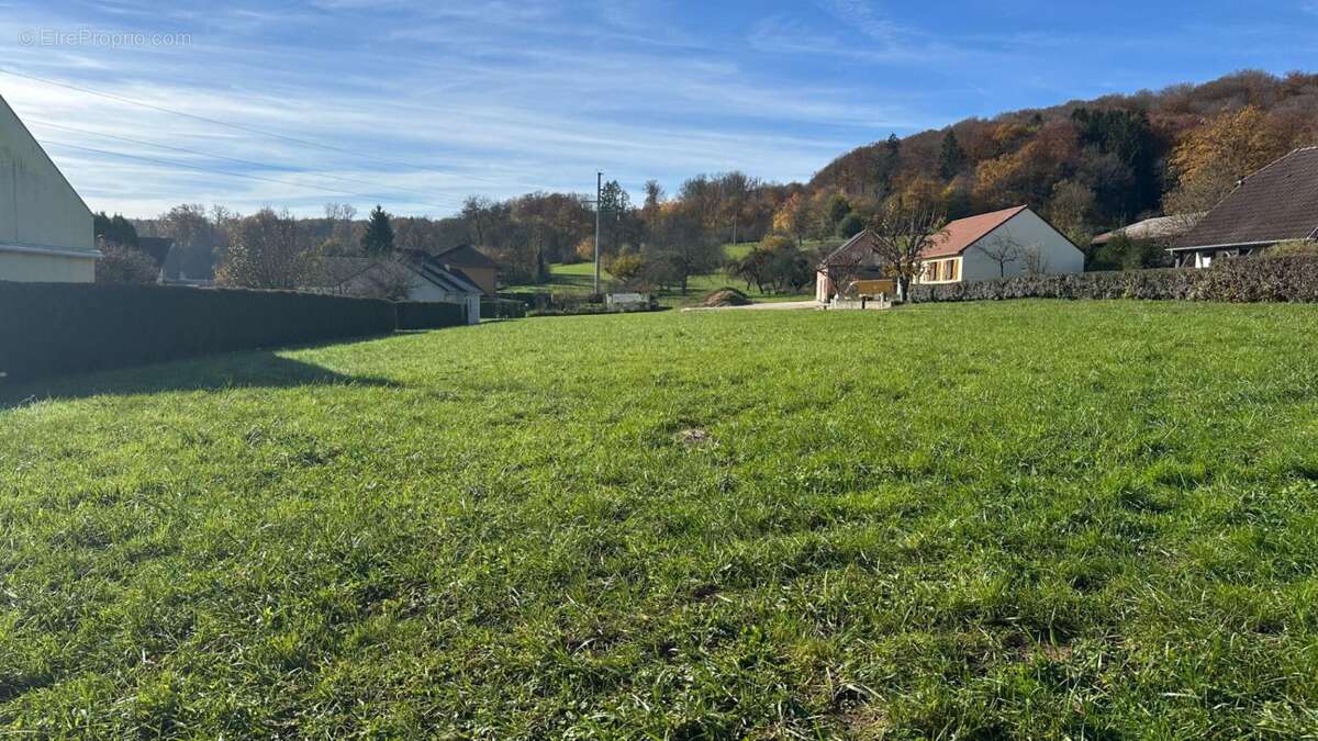 Terrain constructible Lougres 1315 m2 - photo 2