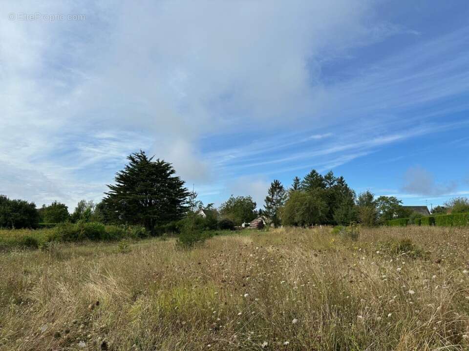 Terrain à CINQ-MARS-LA-PILE