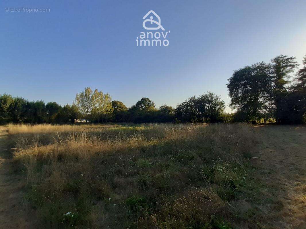 Votre Havre de Paix à Saint-Junien : Terrain Constructible d - photo 4