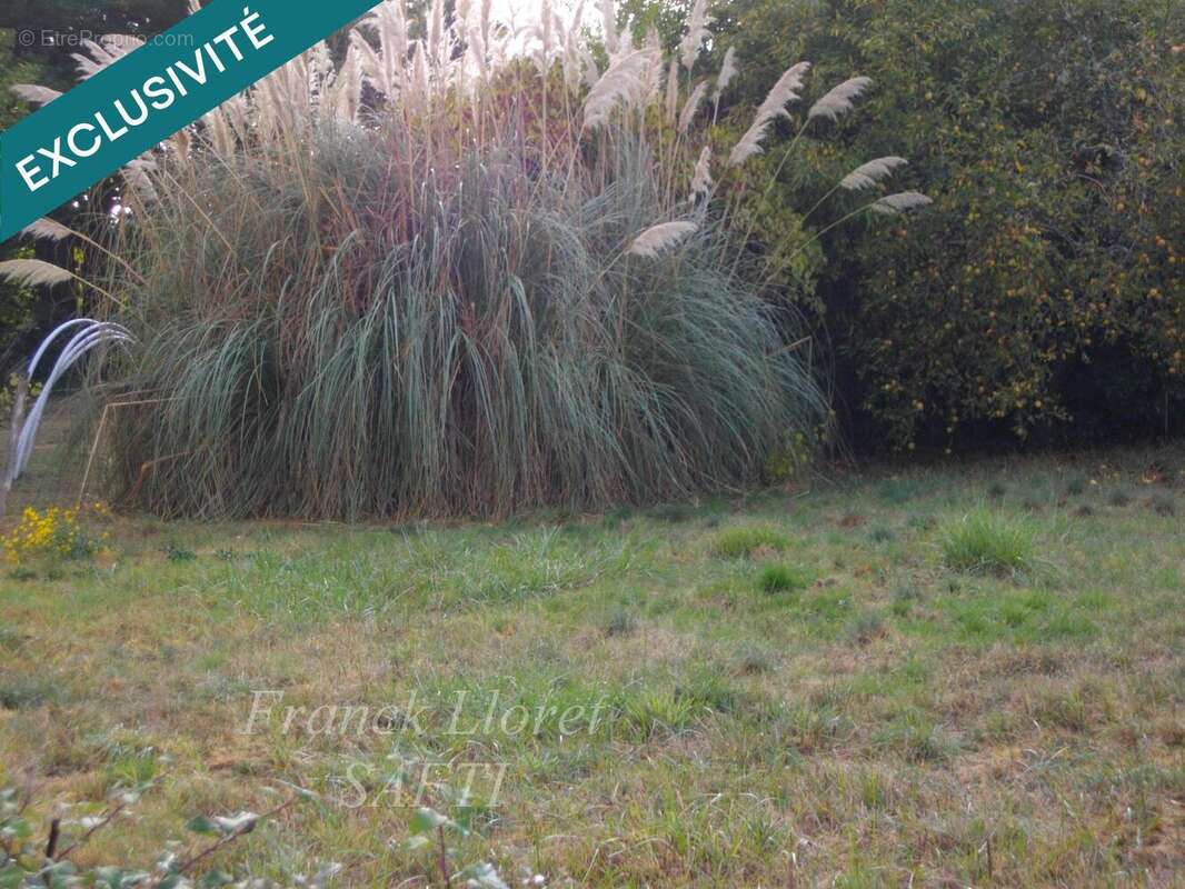 Photo 3 - Terrain à VENDAYS-MONTALIVET