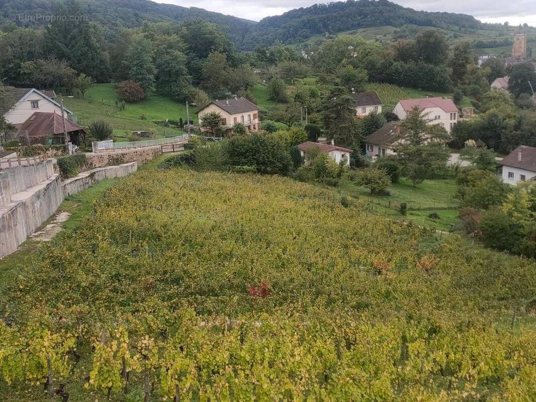 Photo 1 - Terrain à ARBOIS