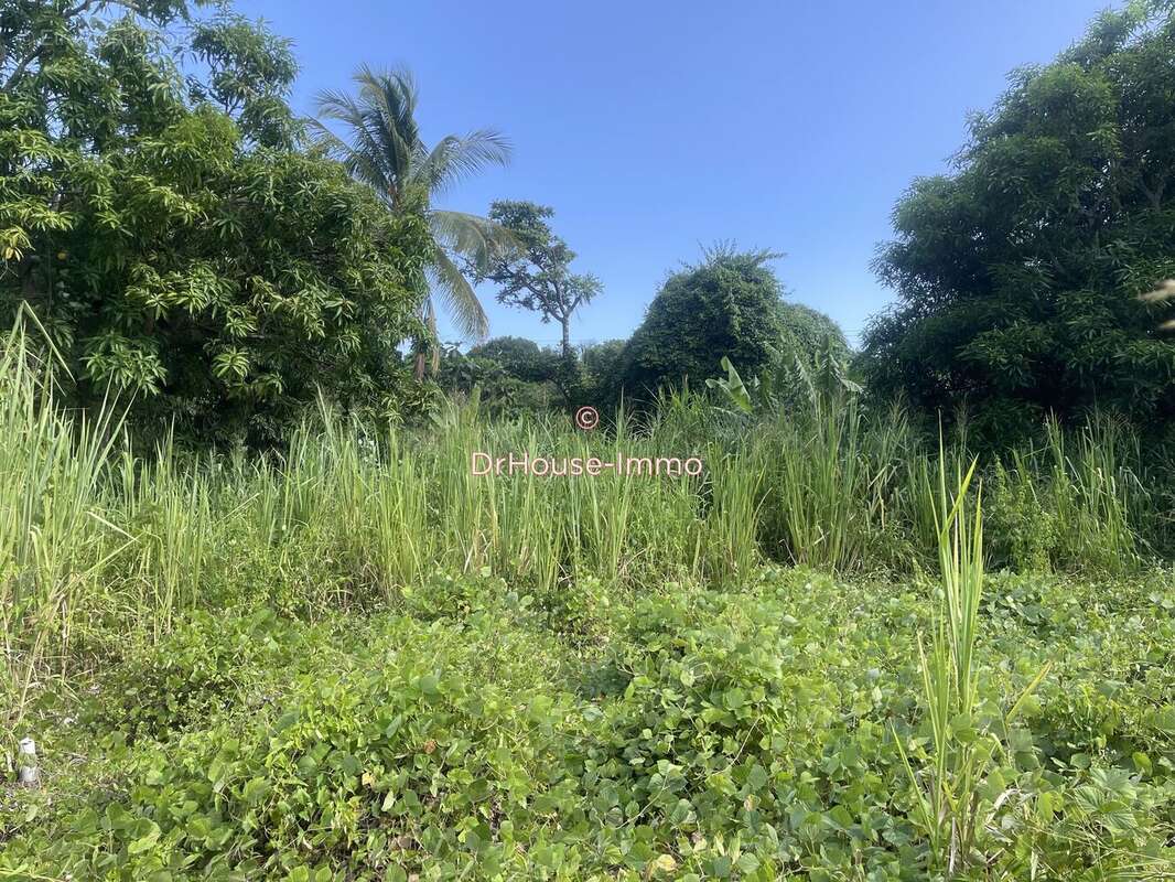 Terrain à VIEUX-HABITANTS