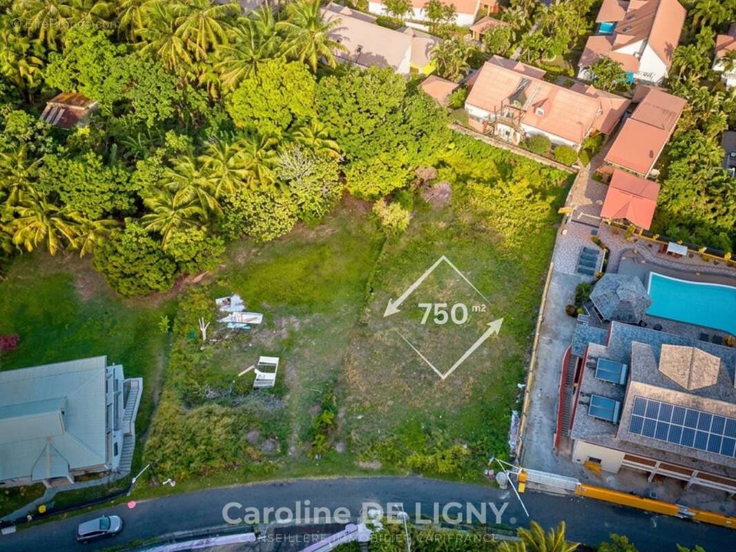 Terrain 750 m² Deshaies Bas Vent - Secteur recherché - photo 5