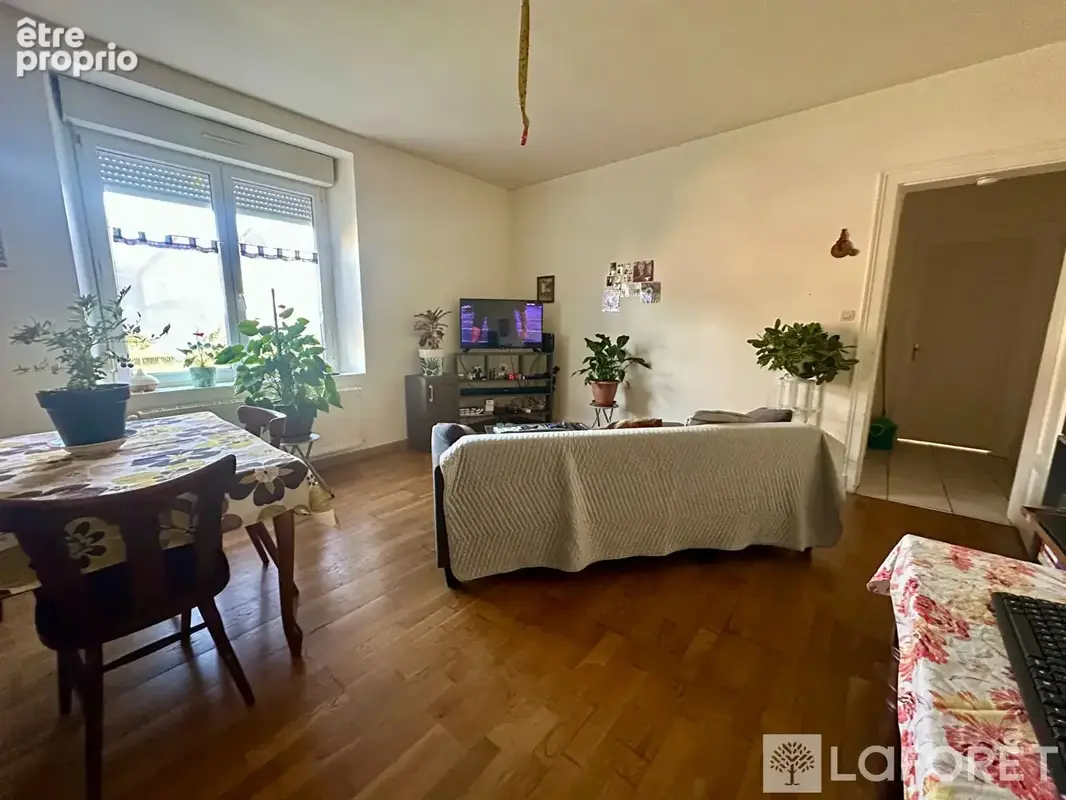 Maison Docelles 14 pièce(s) 290.54 m2 - photo 6
