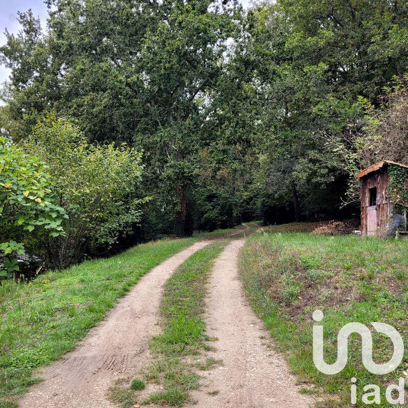 Photo 7 - Maison à PINEUILH