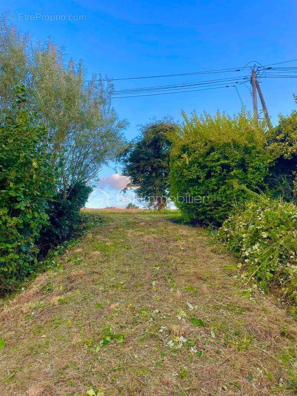 Terrain à PLOMODIERN