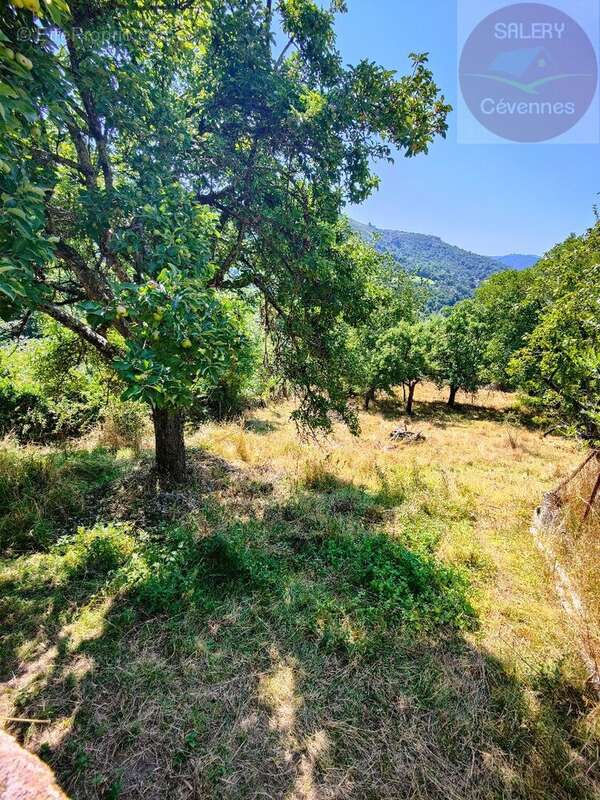 Maison à LA SALLE-PRUNET