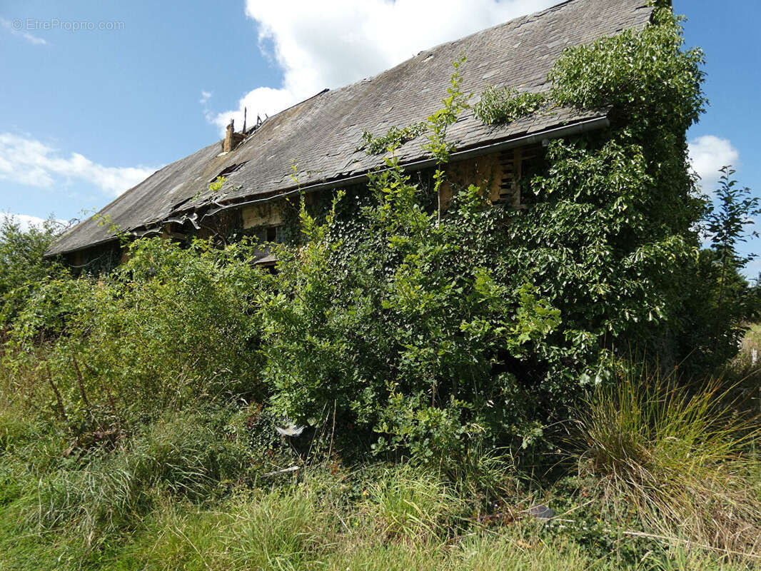 Le mesnillard - photo 6
