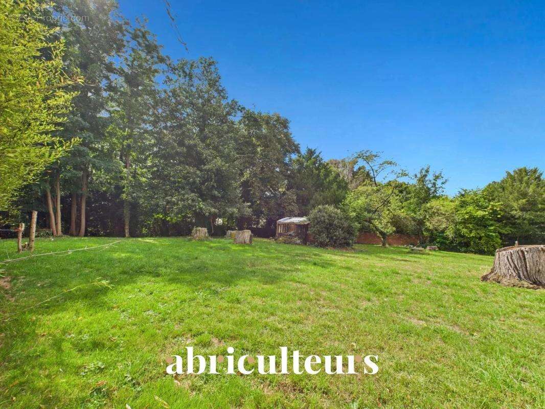 Terrain constructible de 1 572 m² à la vente à Montmorency (95160) - photo 6