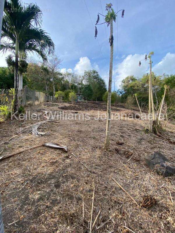 Terrain à LES TROIS-ILETS