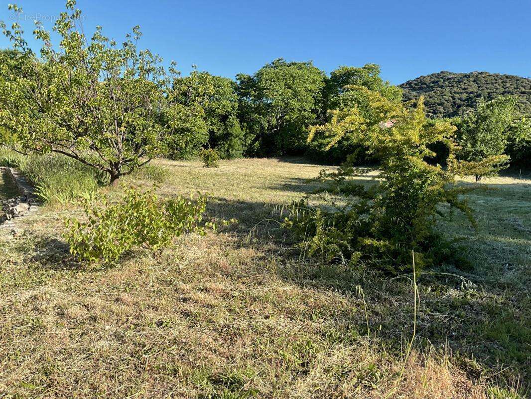 Maison à SAINT-SAUVEUR-DE-CRUZIERES
