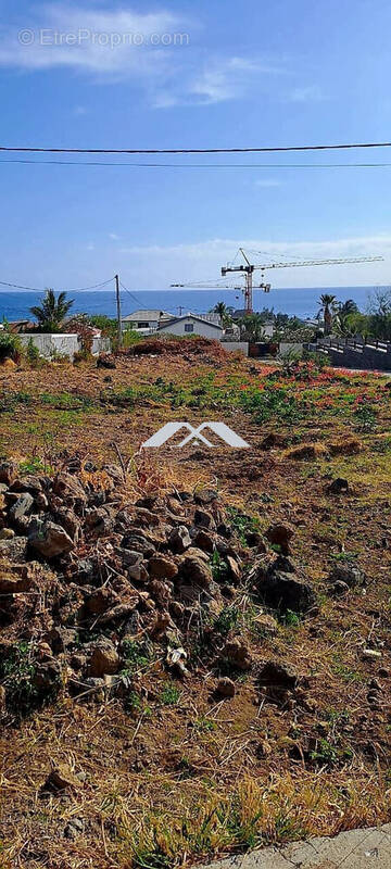 Terrain à LES TROIS-BASSINS