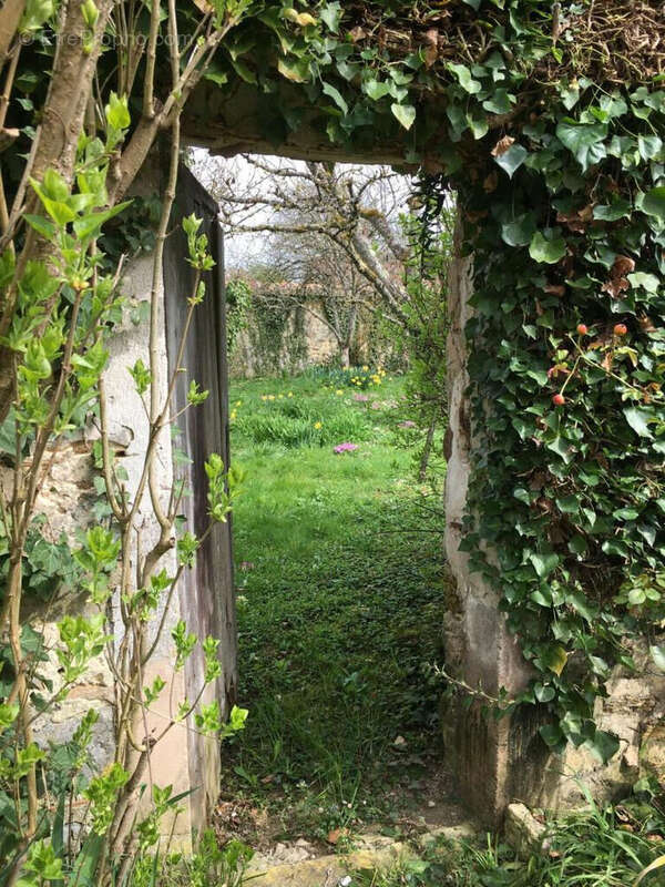 Photo 4 - Maison à FERICY