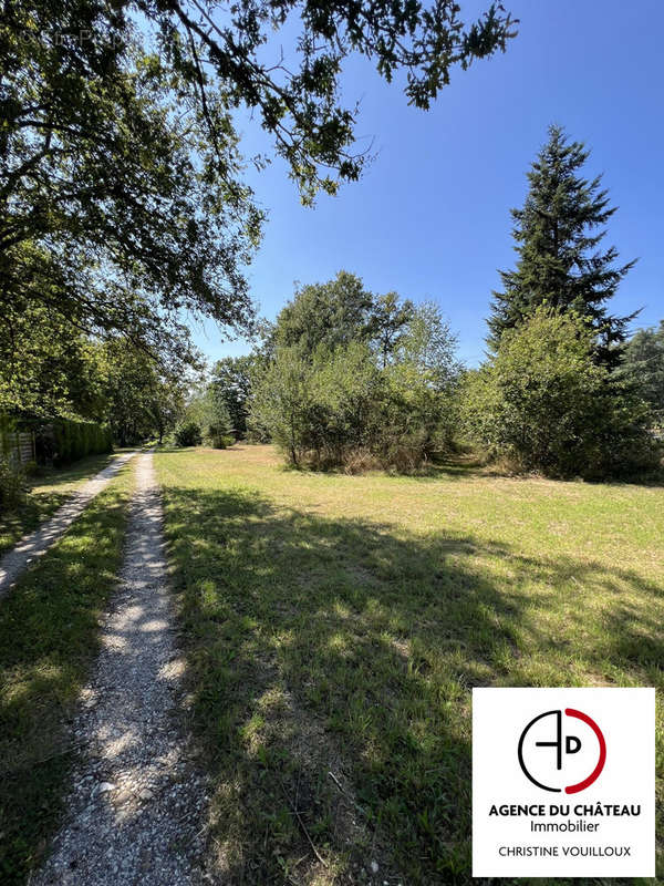 Terrain à LES BORDES